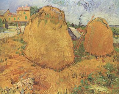 Vincent Van Gogh Haystacks in Provence (nn04) France oil painting art